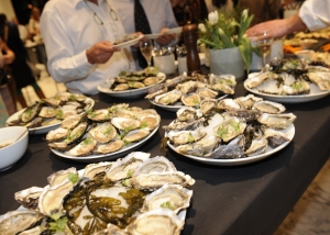 Pressrelease of UW Huid (YourSkinType) of Dr Ilan Karavani - TCSE | Training Center for Skin Experts